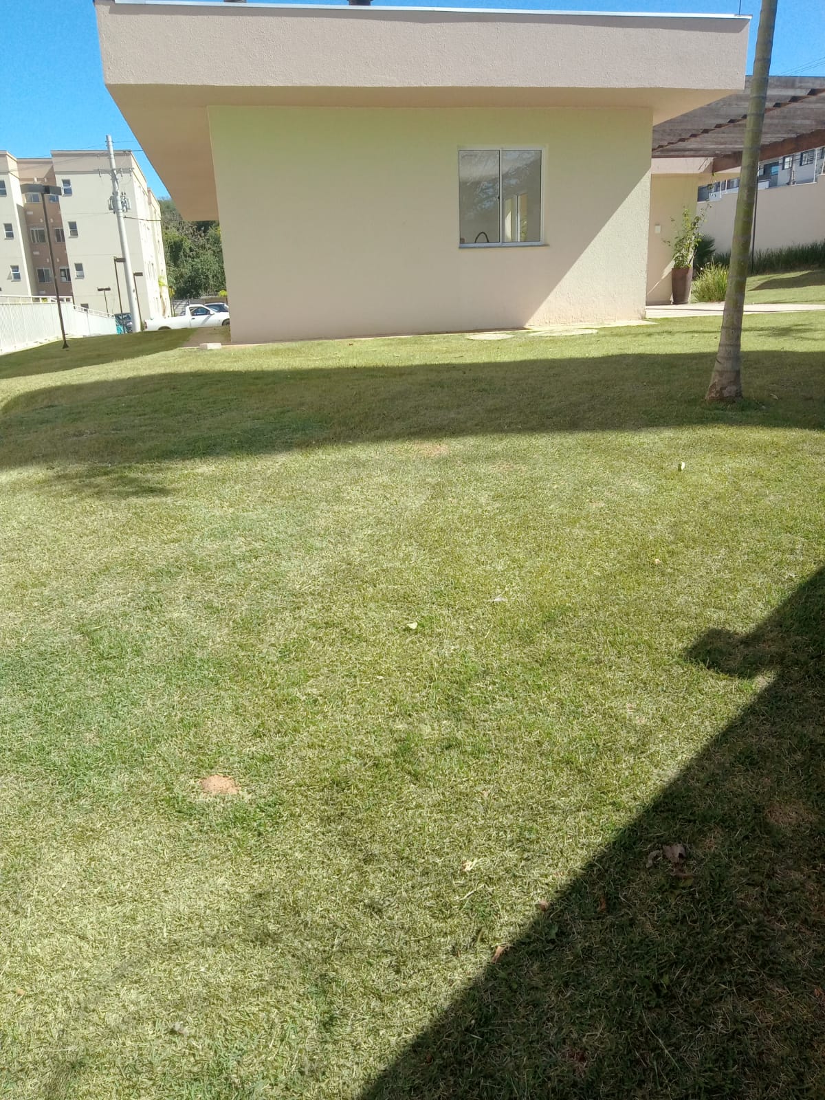 Manutenção de Piscina